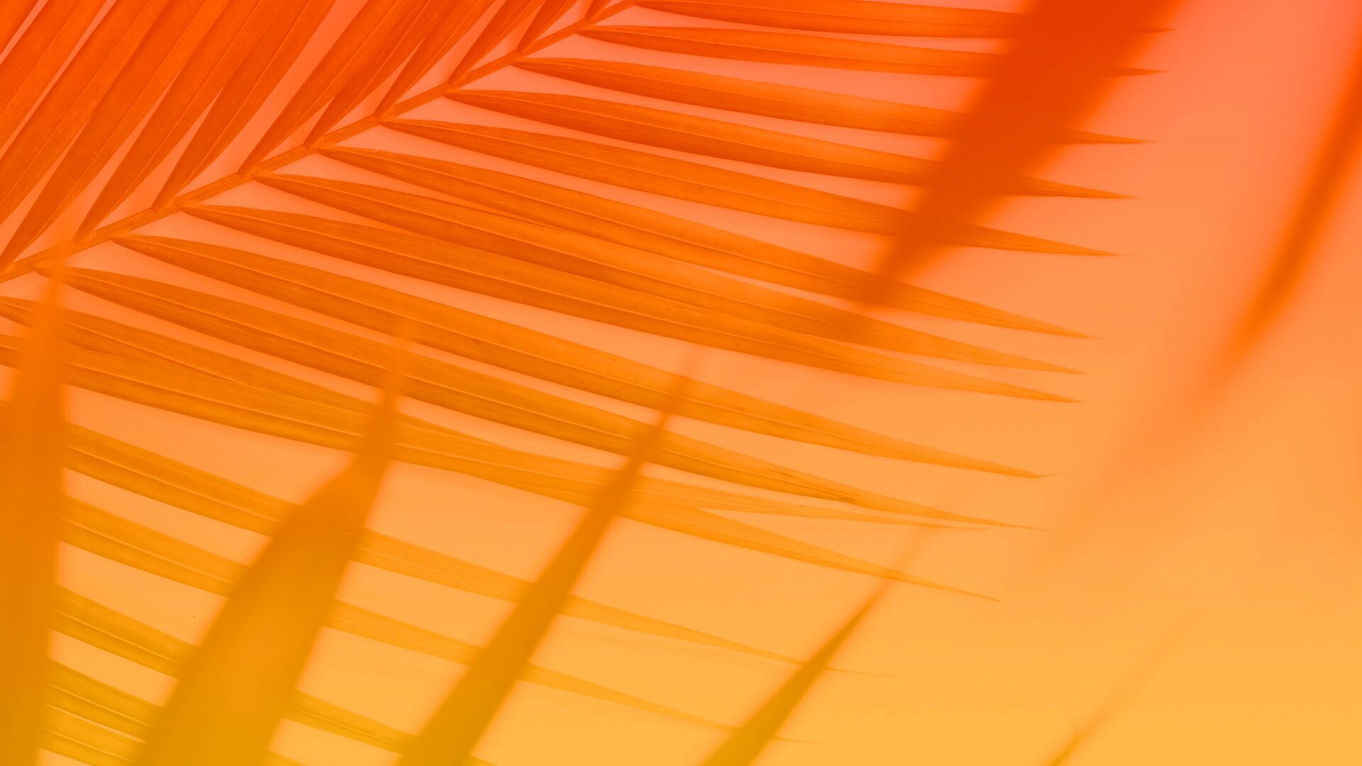 100 Days Summer Challenge oud 2